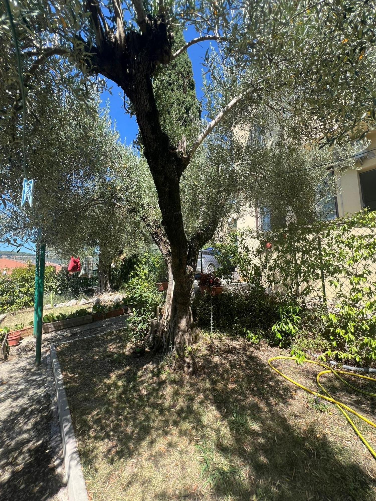 La Locanda Delle Idee Santa Lucia Perugia Luaran gambar